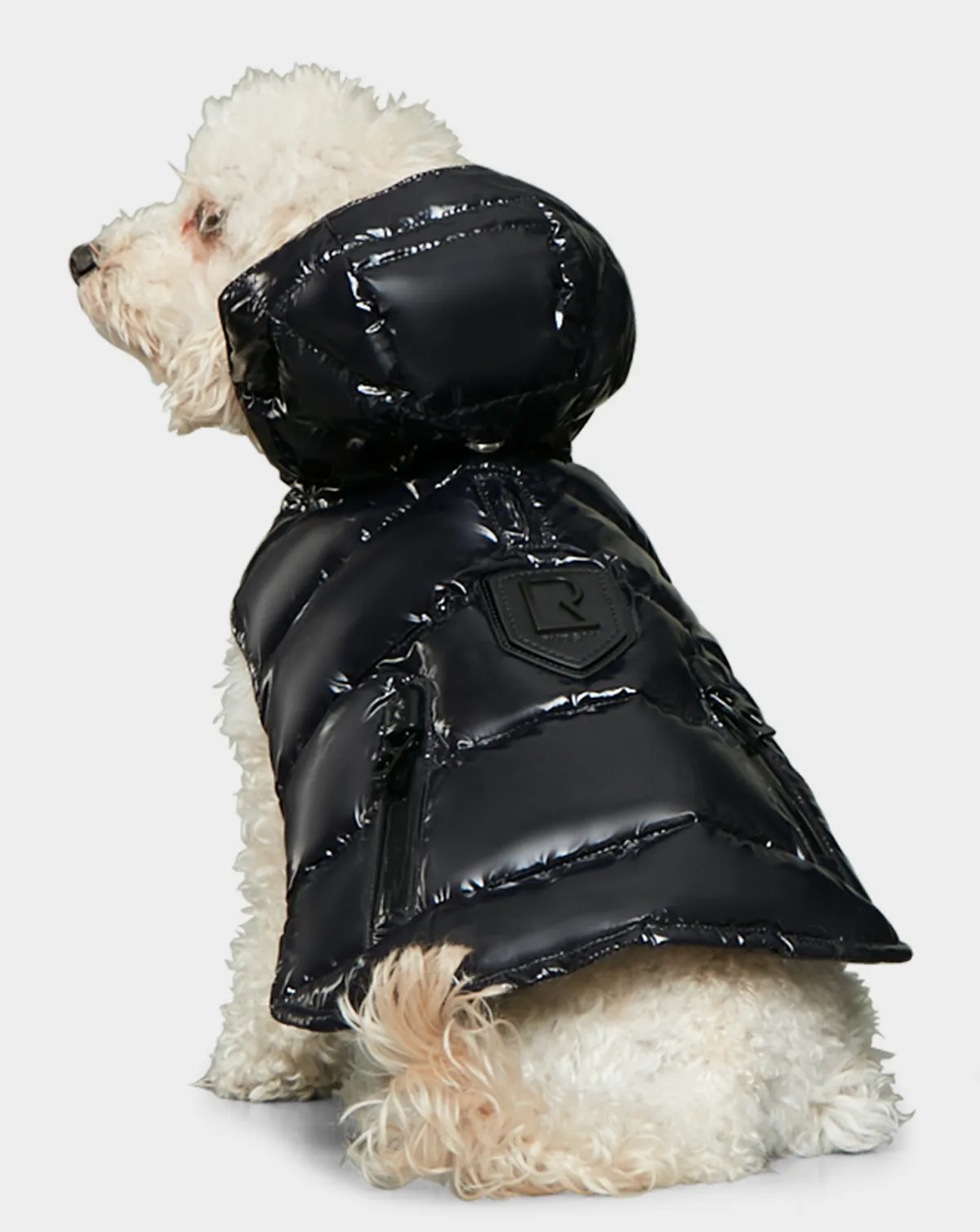 BUDDIE - 9122520 BLACK
