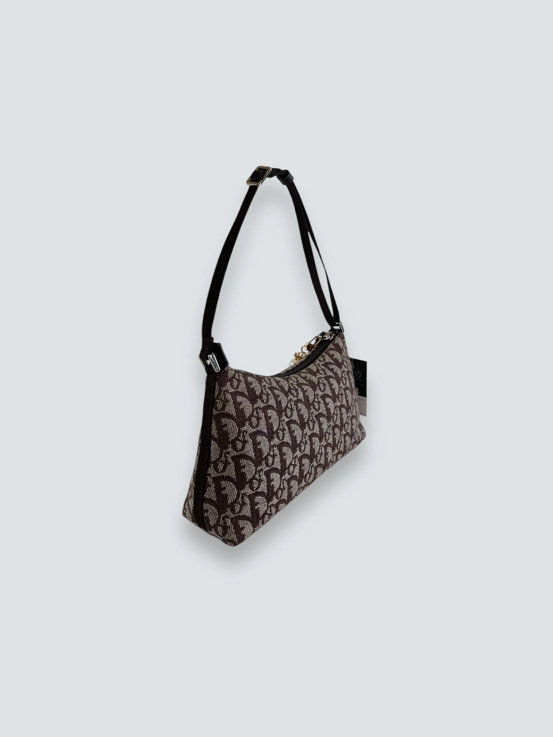 Christian Dior Monogram Canvas Trotter Pochette