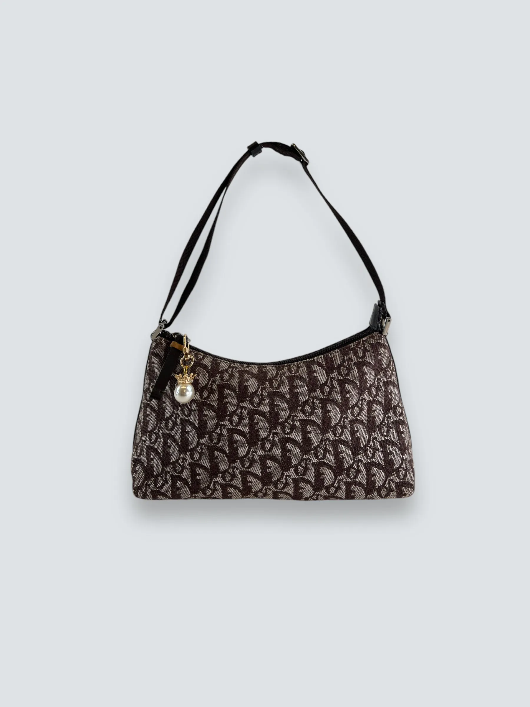 Christian Dior Monogram Canvas Trotter Pochette