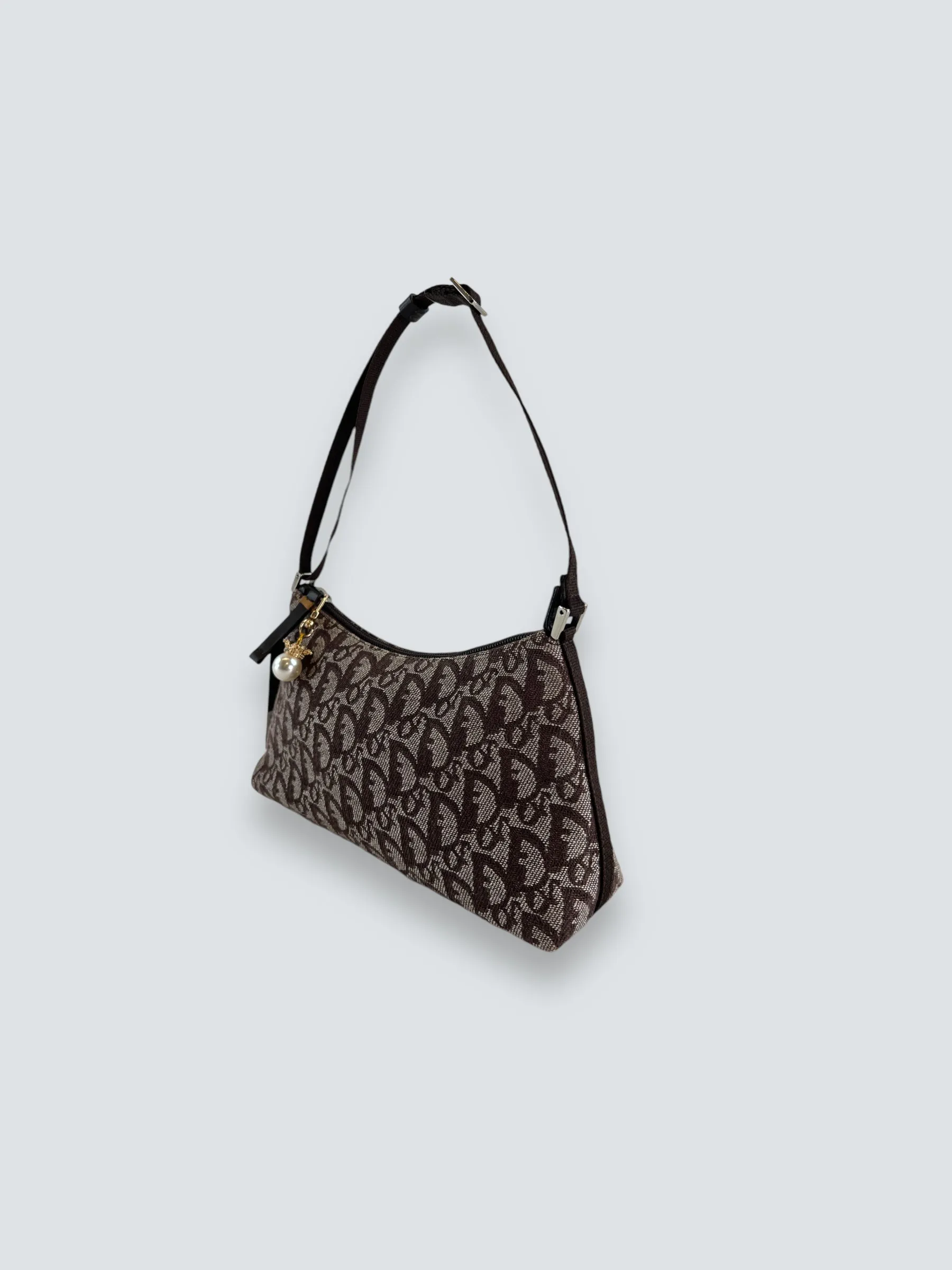 Christian Dior Monogram Canvas Trotter Pochette