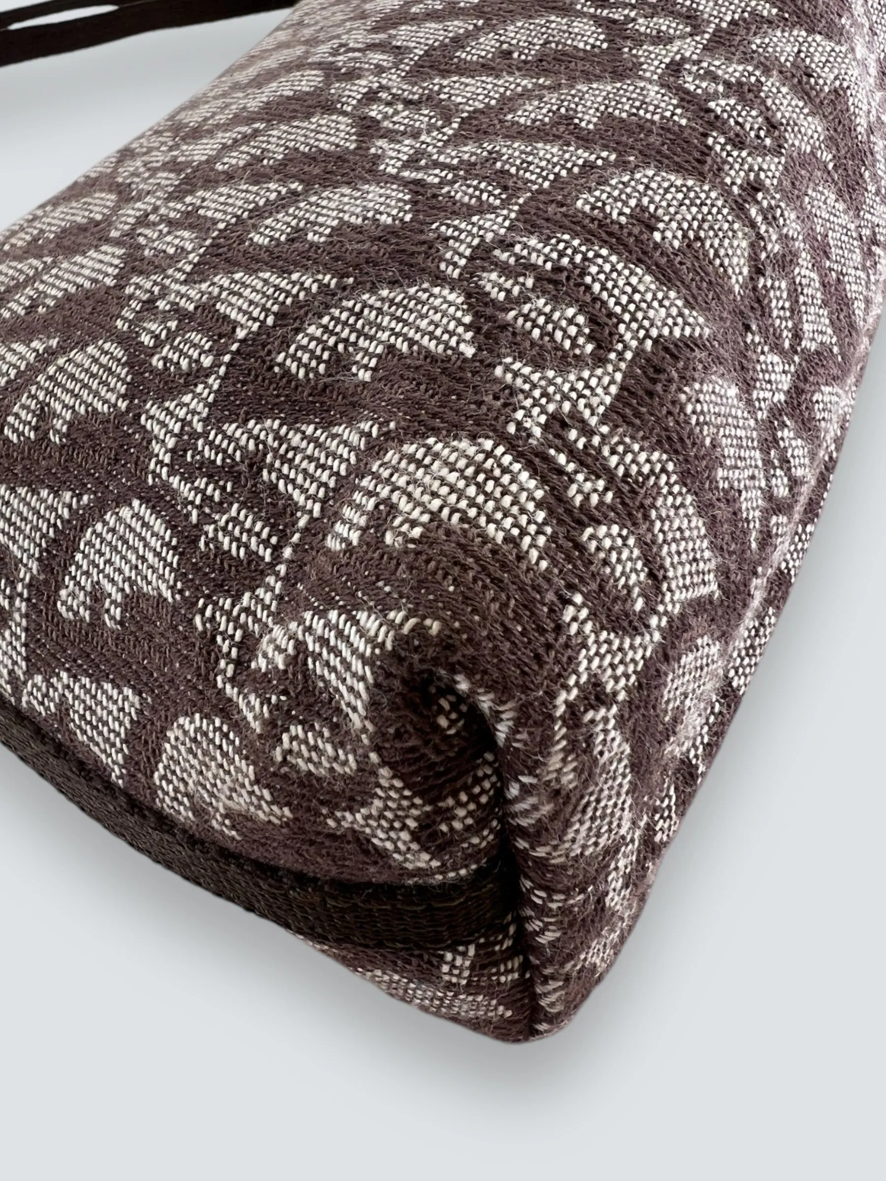 Christian Dior Monogram Canvas Trotter Pochette