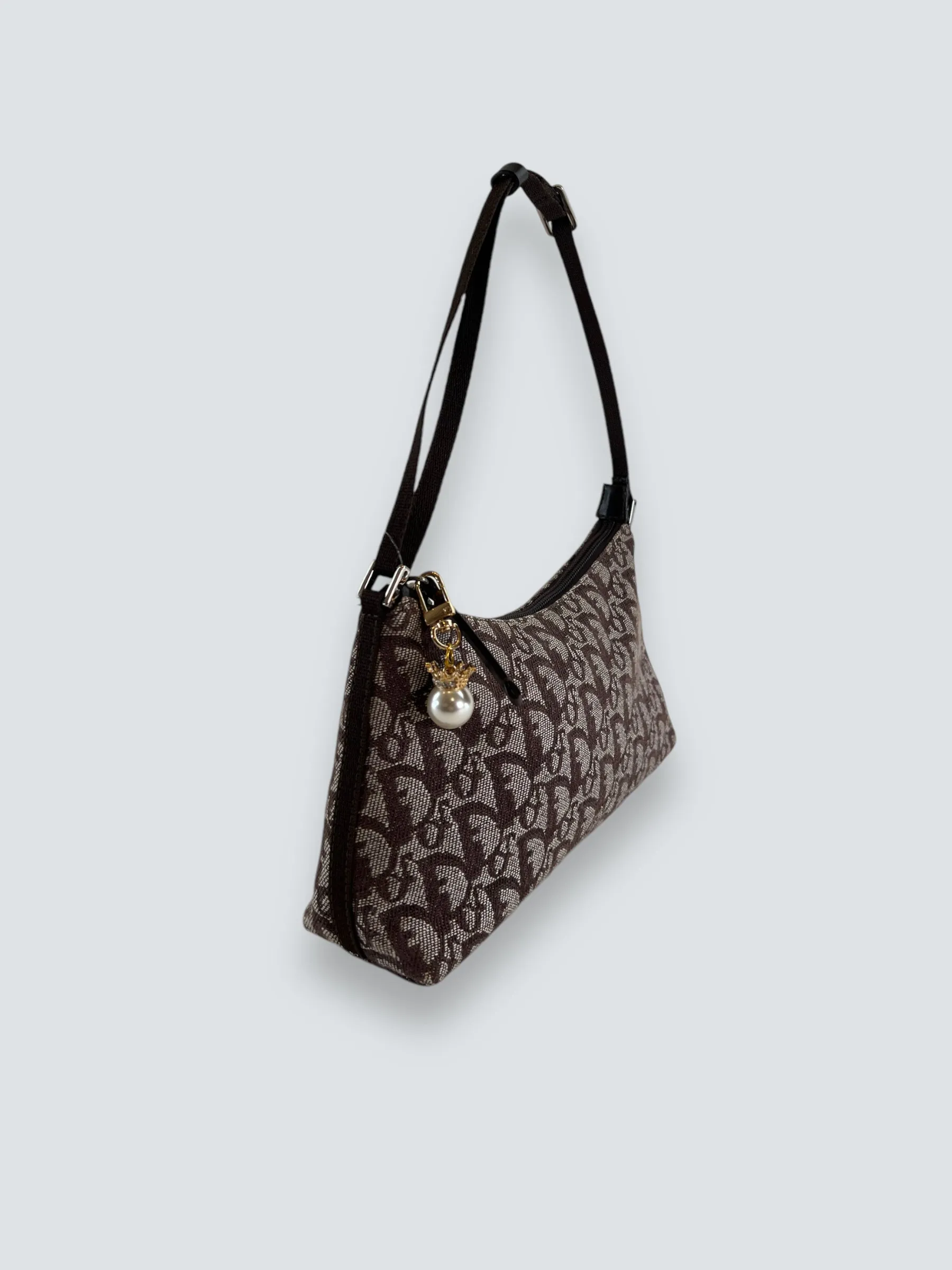Christian Dior Monogram Canvas Trotter Pochette