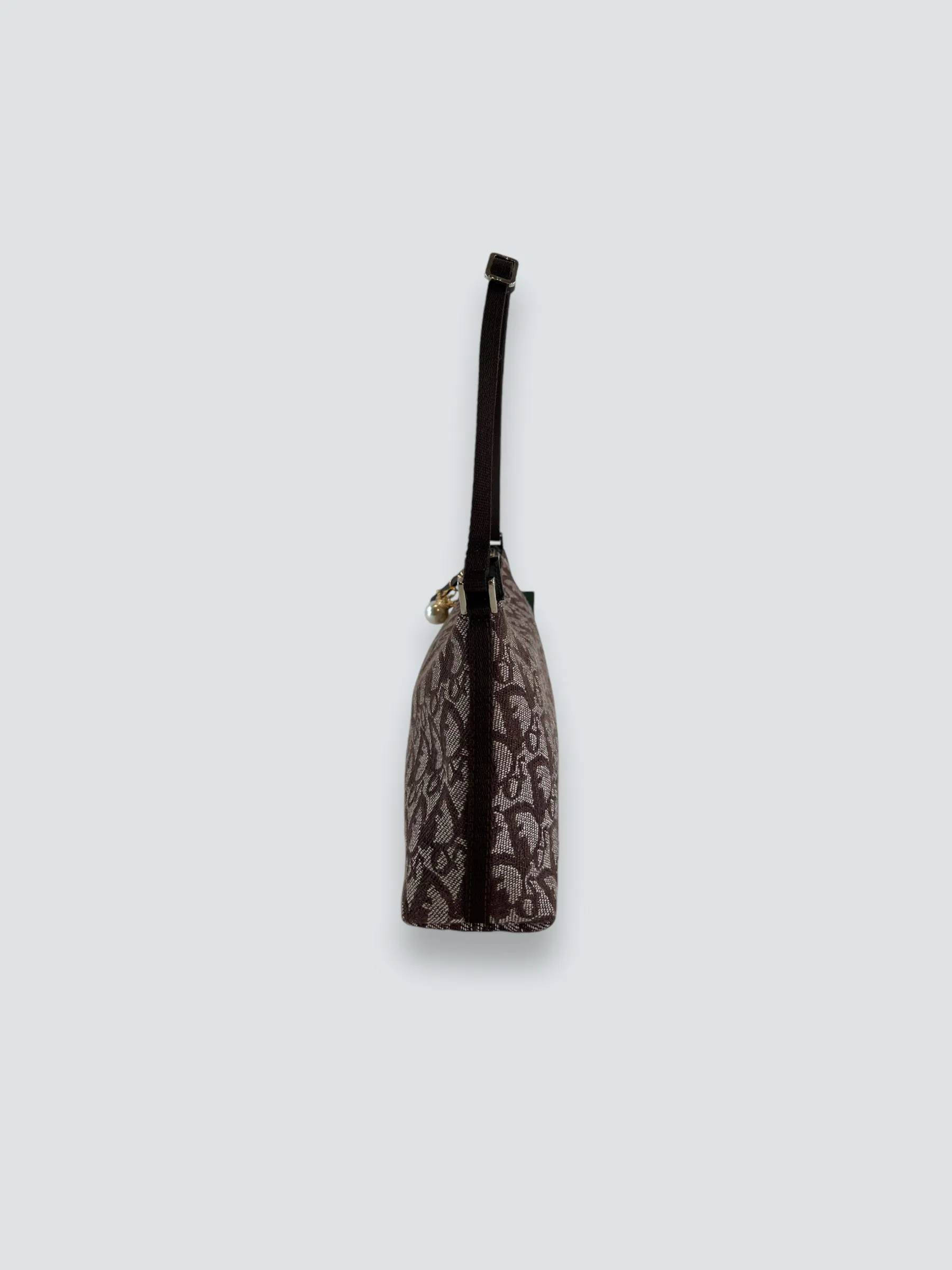 Christian Dior Monogram Canvas Trotter Pochette