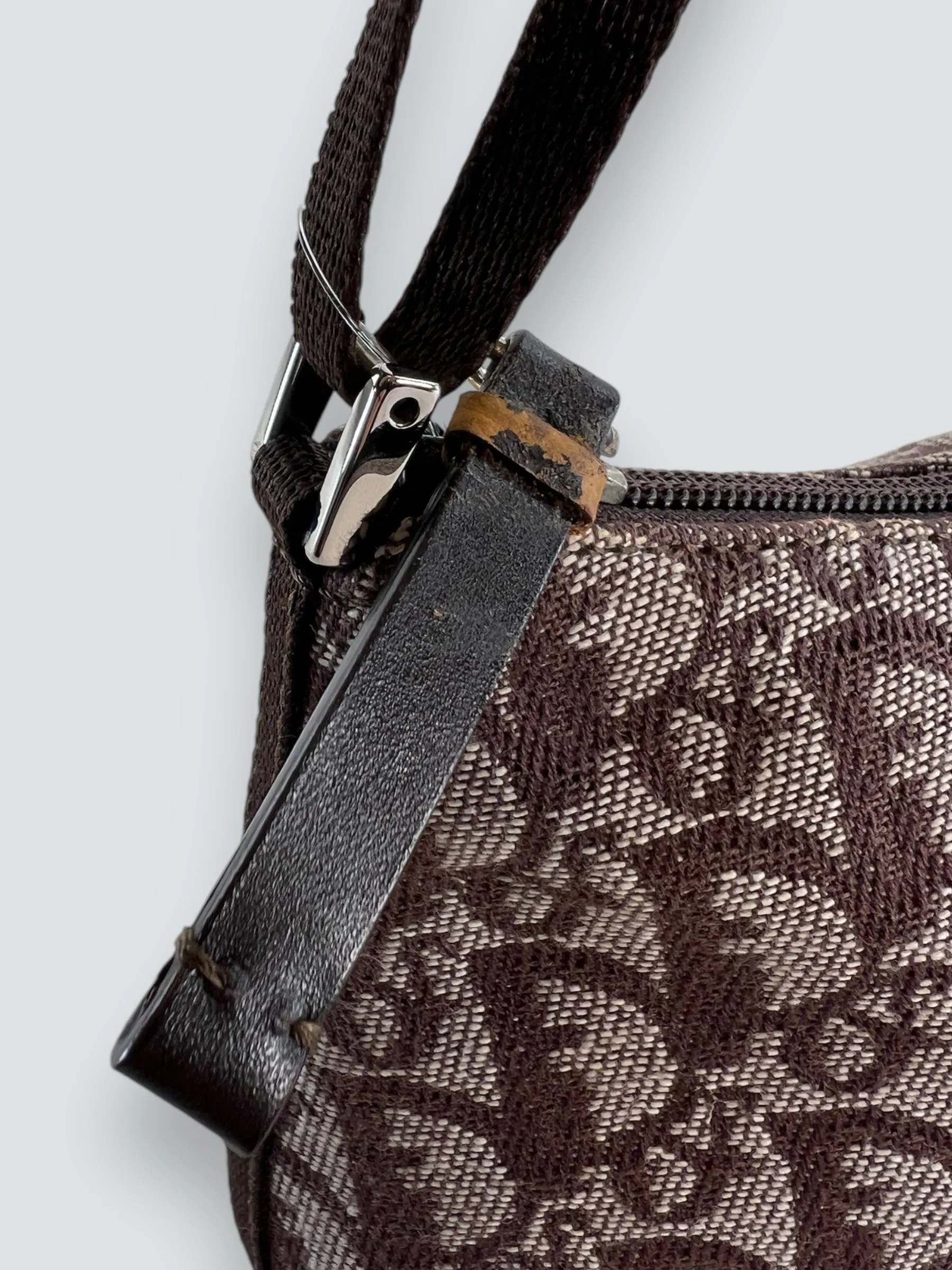 Christian Dior Monogram Canvas Trotter Pochette