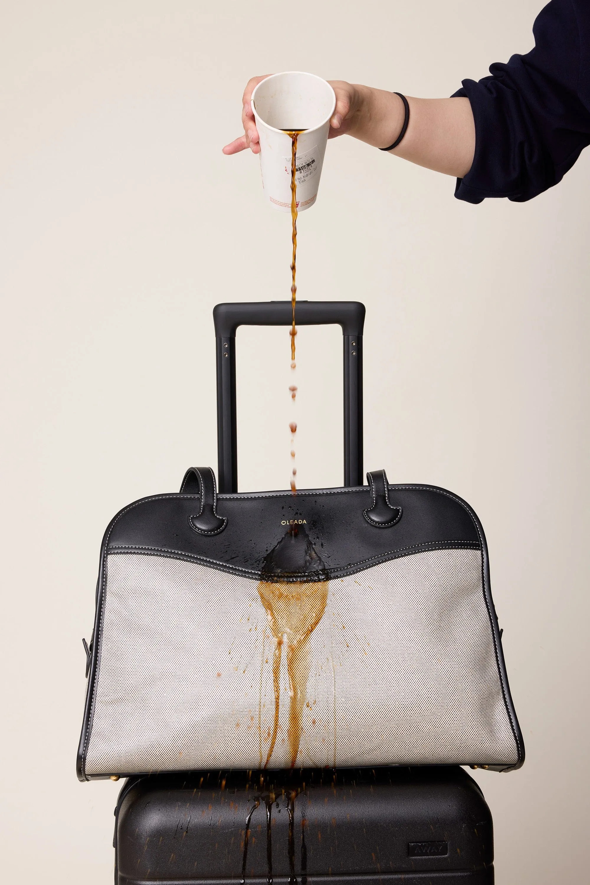 Coast Portfolio Satchel