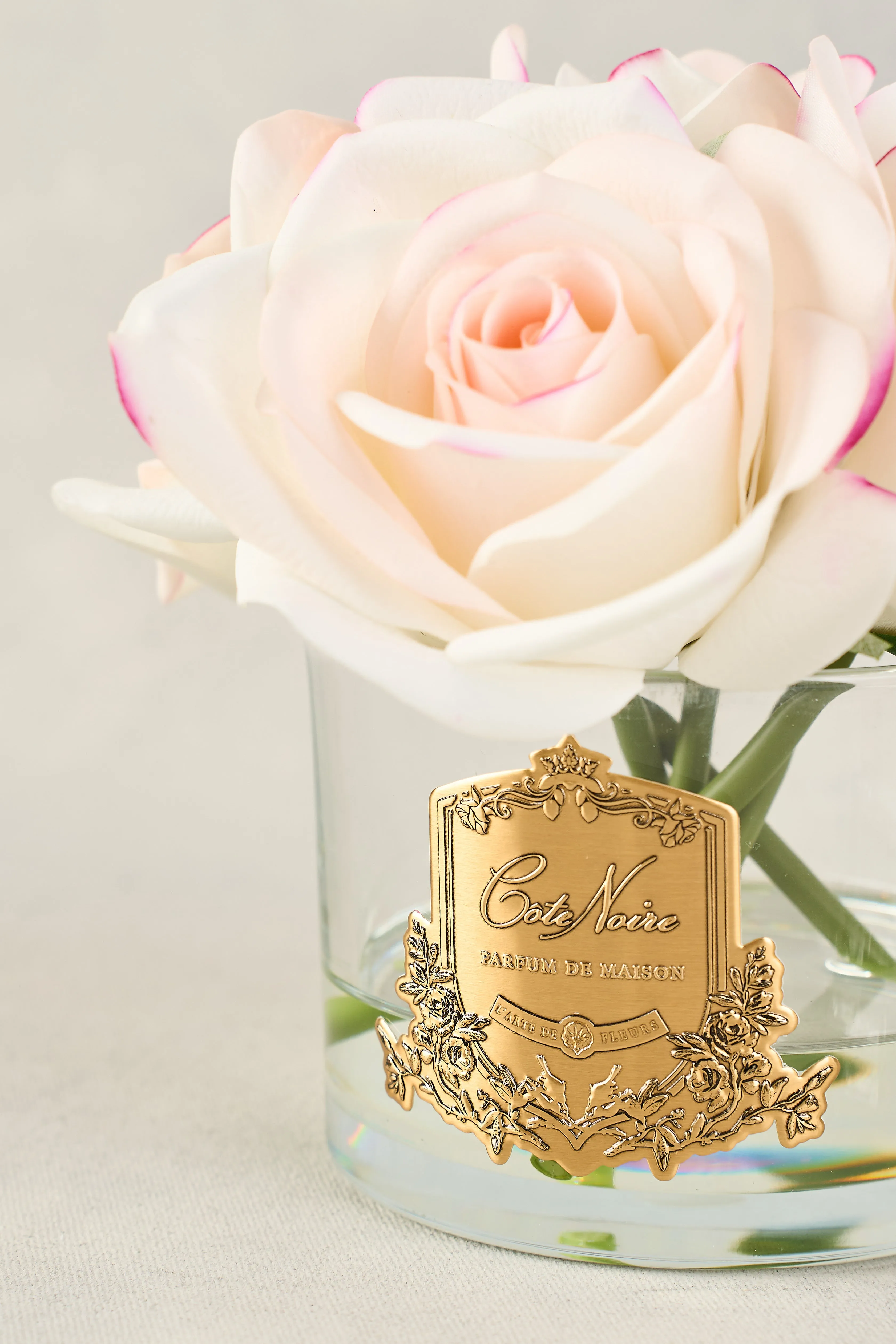 Cote Noire 5 Pink Rose Bud
