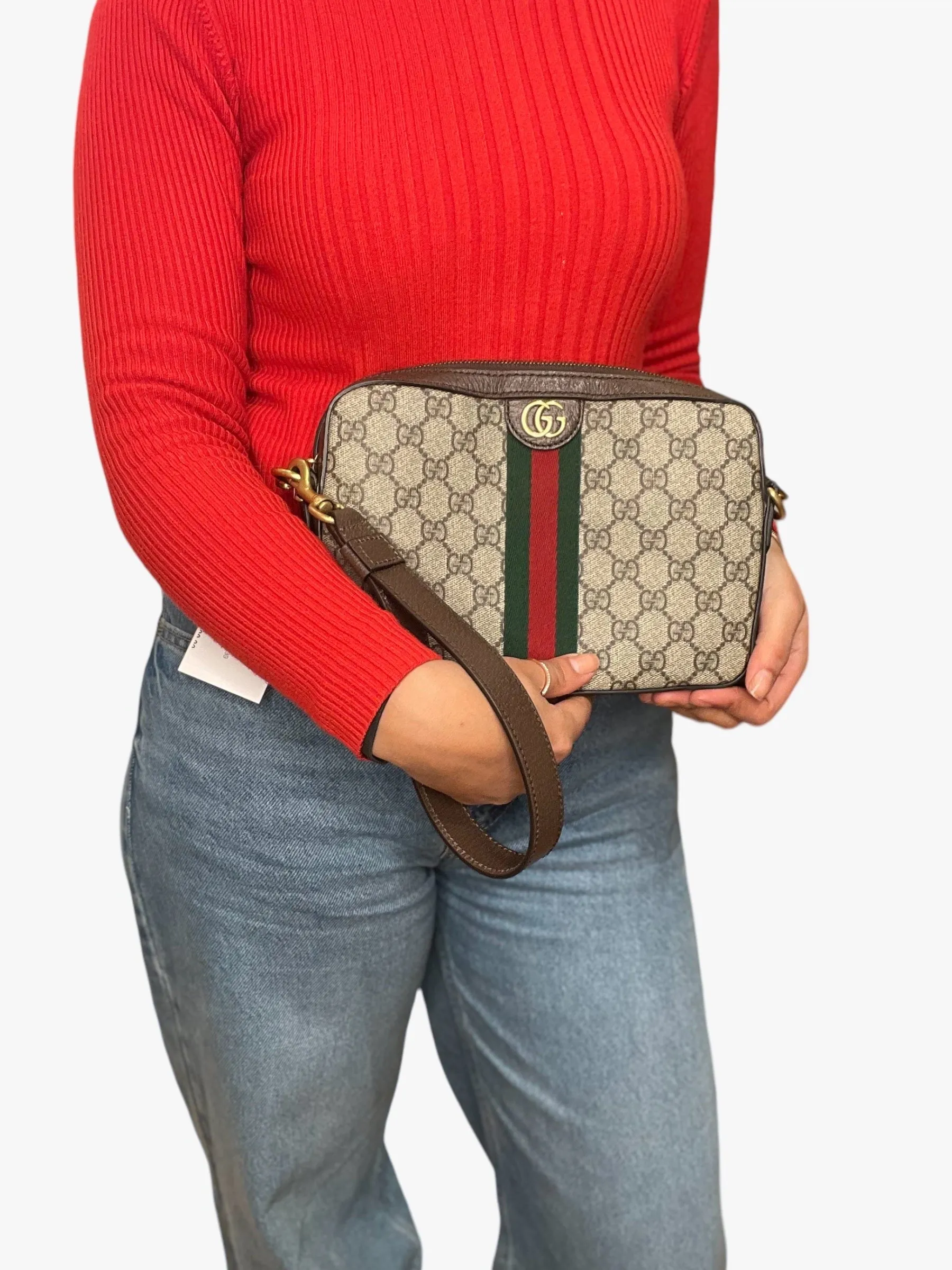 Gucci Monogram Canvas & Leather Ophidia GG Crossbody