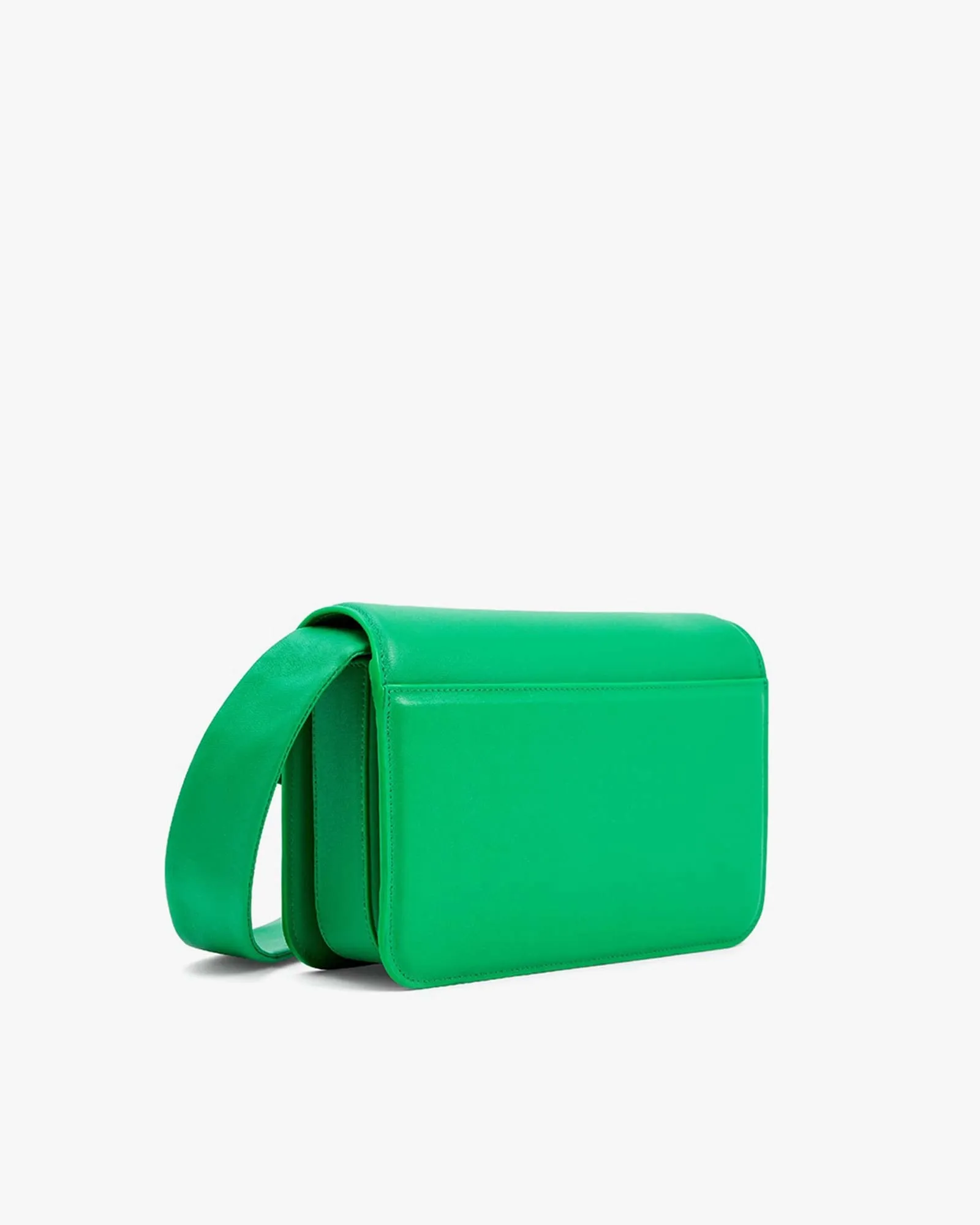 IRIS MOYEN | Grass green