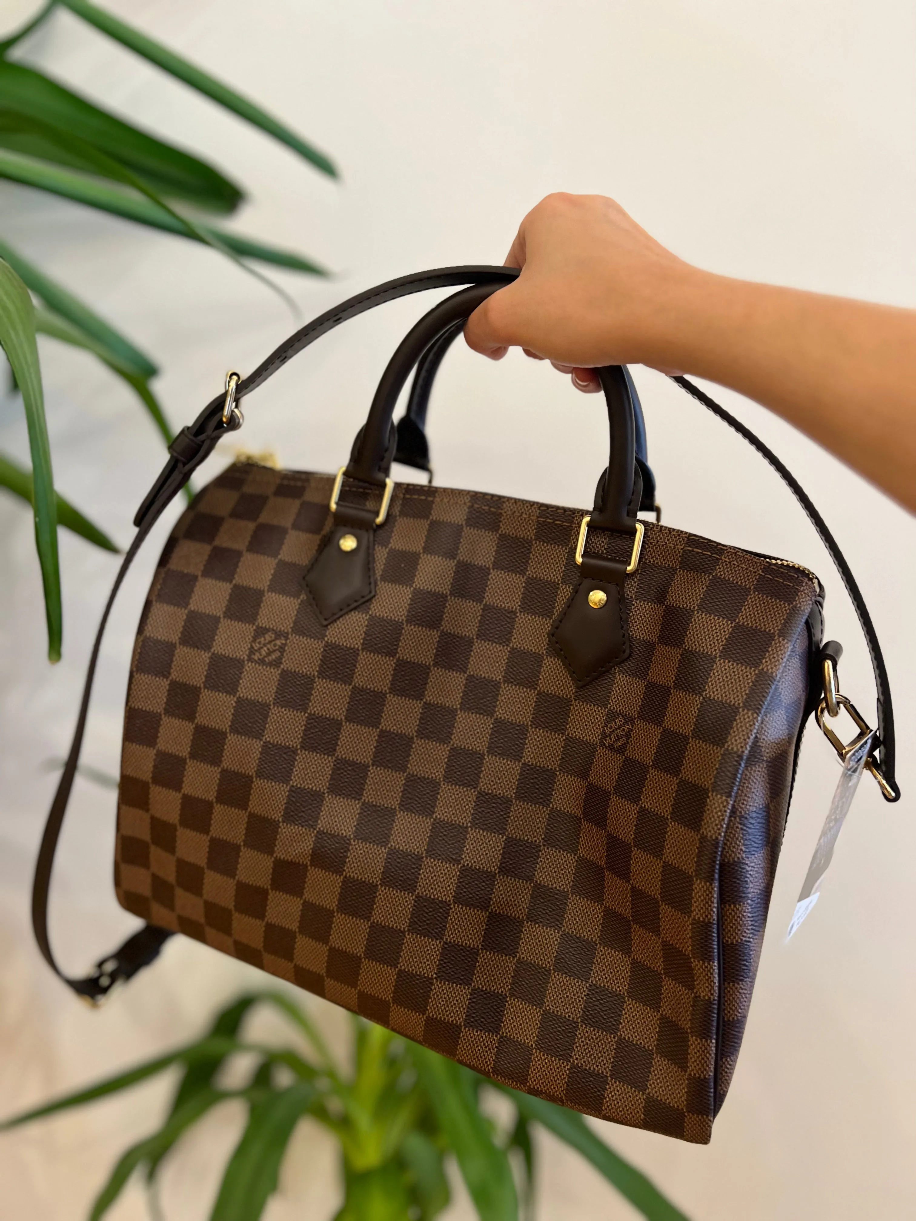 Louis Vuitton Damier Ebene Canvas Speedy 30 Bandouliere