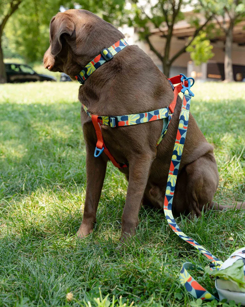 (R)evolution™ Woven Dog Harness