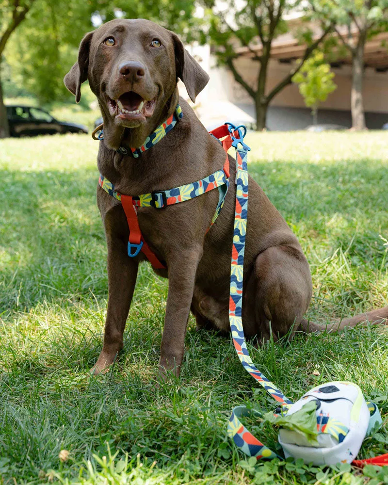 (R)evolution™ Woven Dog Harness