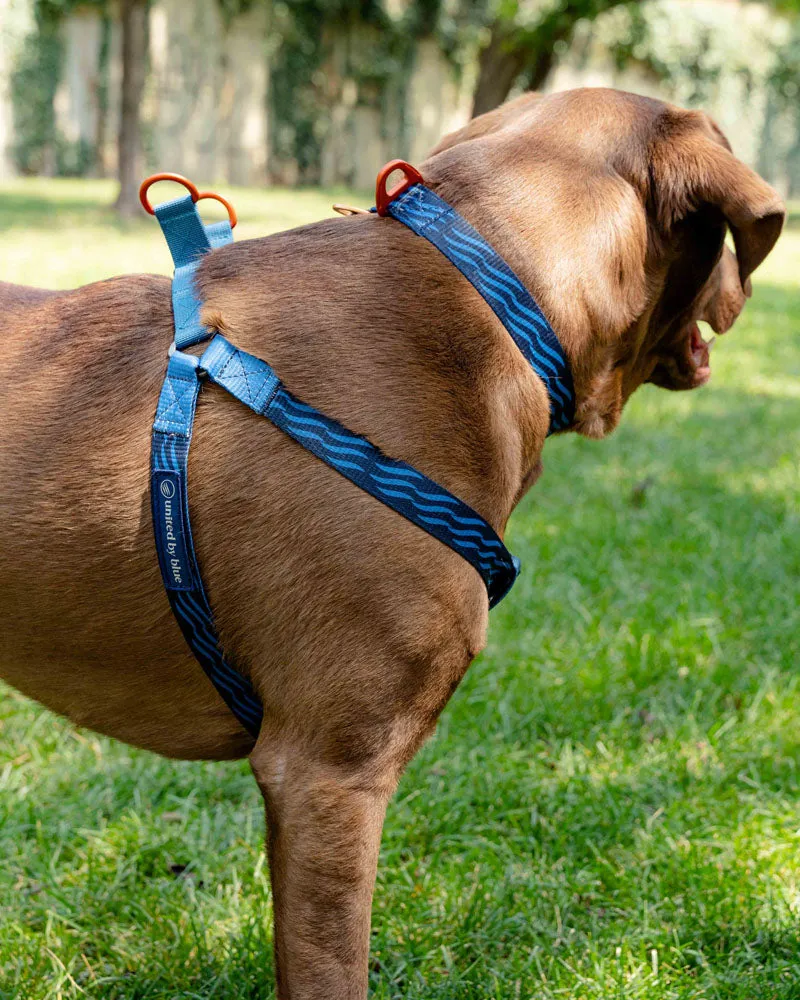 (R)evolution™ Woven Dog Harness