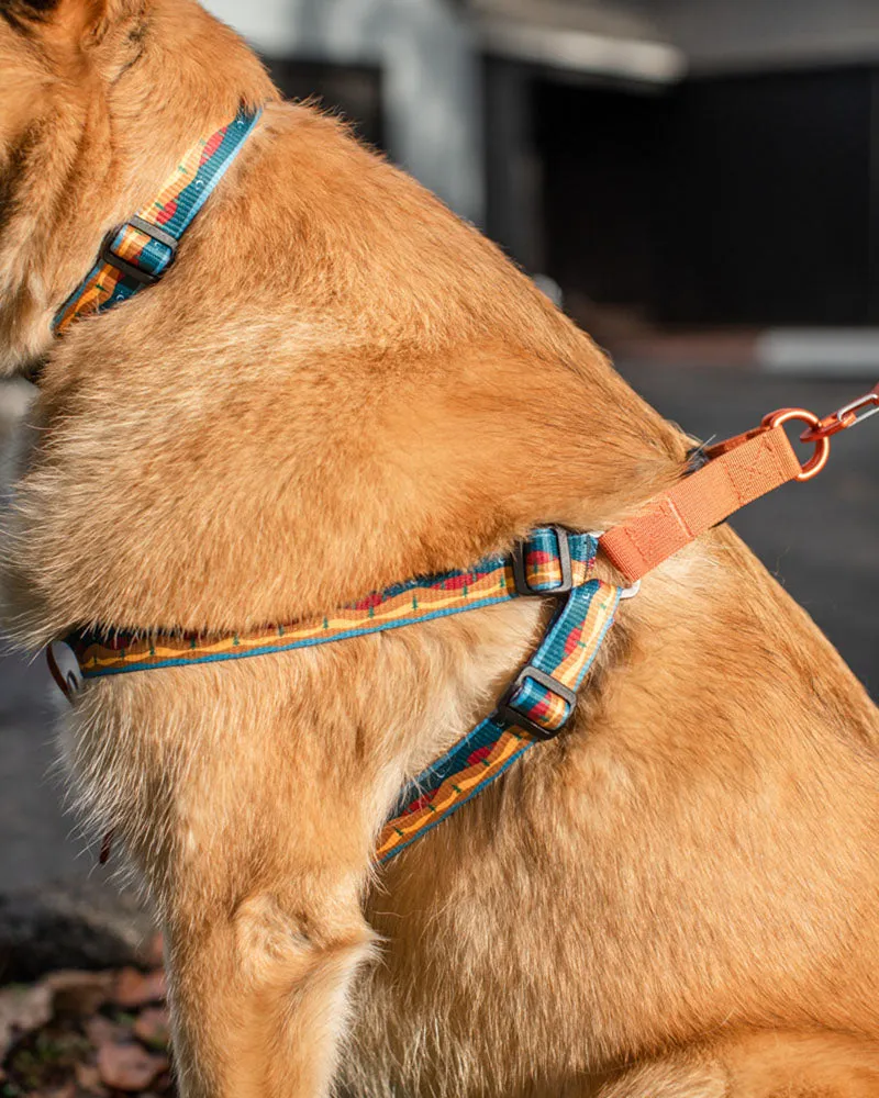 (R)evolution™ Woven Dog Harness