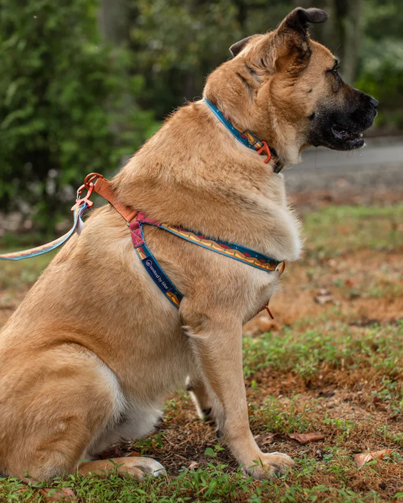 (R)evolution™ Woven Dog Harness