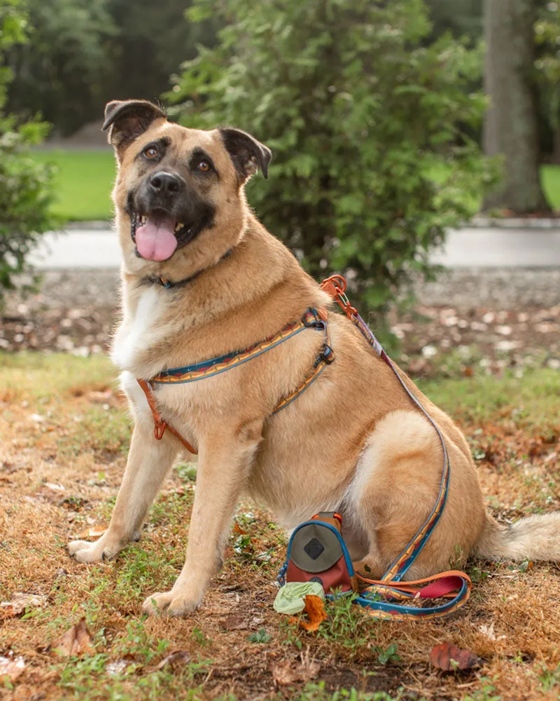 (R)evolution™ Woven Dog Harness