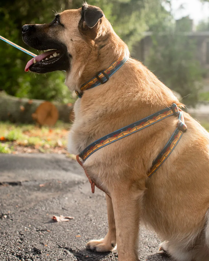 (R)evolution™ Woven Dog Harness
