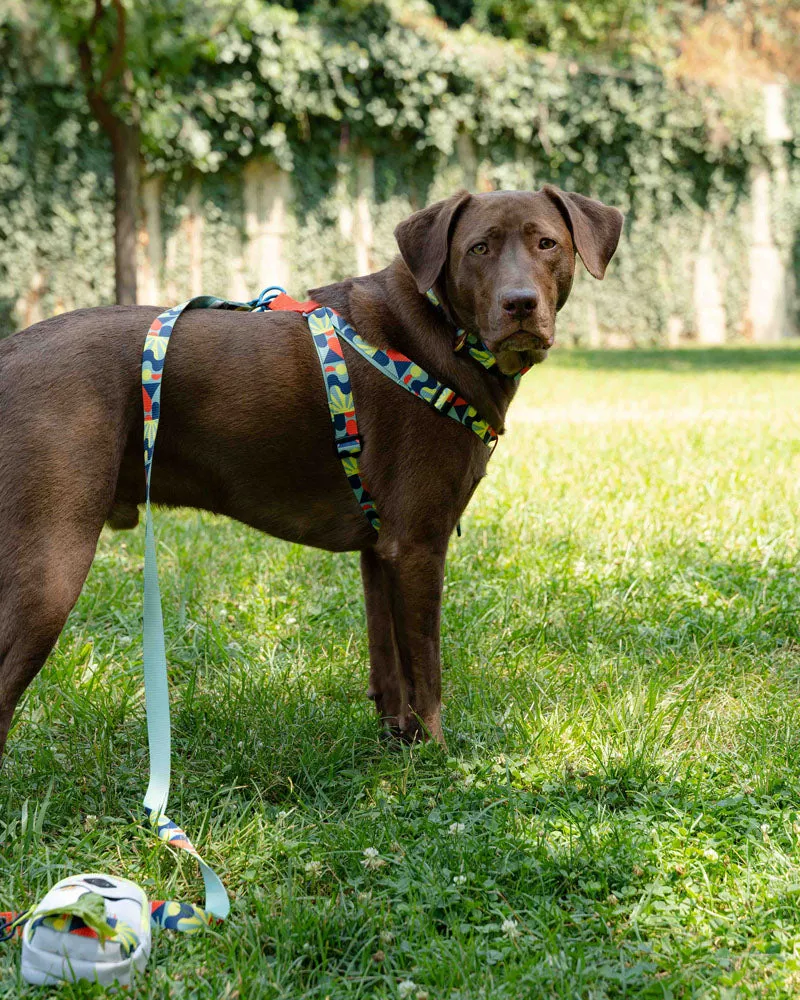(R)evolution™ Woven Dog Harness