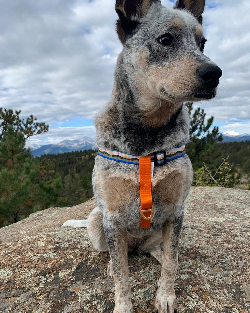 (R)evolution™  Woven Dog Harness