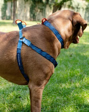 (R)evolution™ Woven Dog Harness