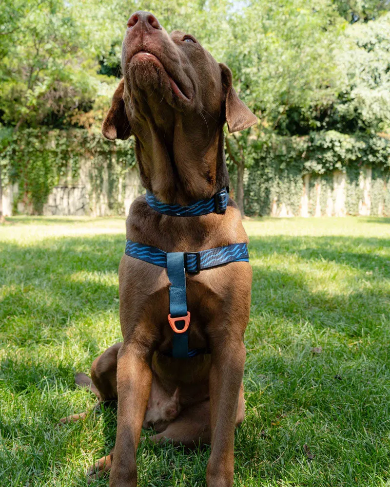 (R)evolution™ Woven Dog Harness
