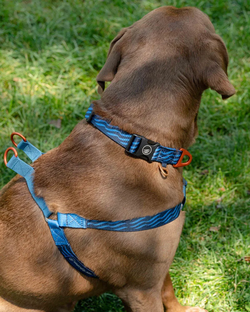 (R)evolution™ Woven Dog Harness