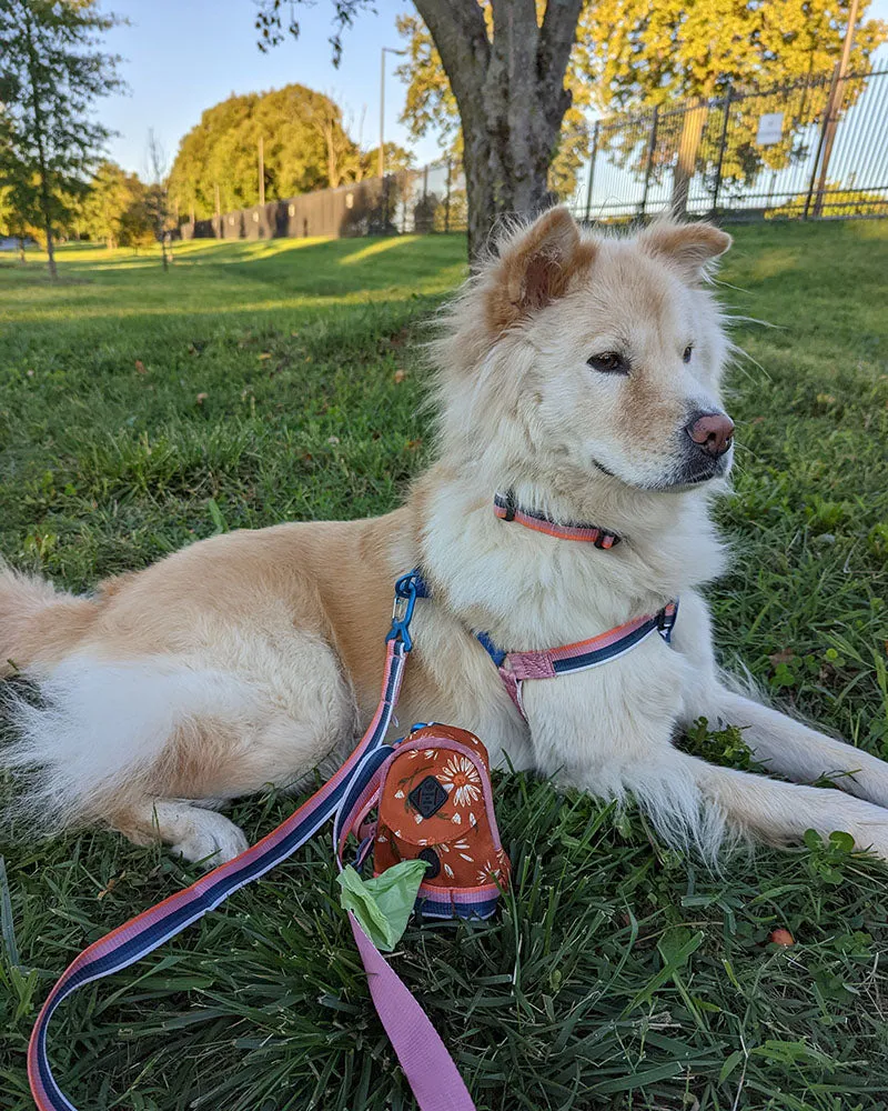 (R)evolution™  Woven Dog Harness